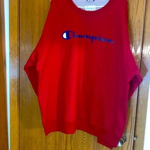 Champion sweatshirt (never worn)